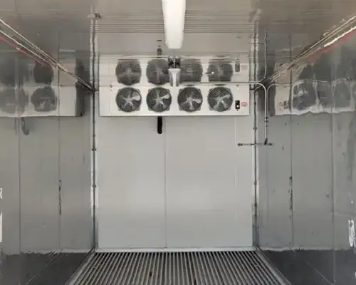 Single-Phase 20ft Refurbished Refrigerated Container Low Temp