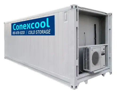 Single-Phase 20ft Refurbished Refrigerated Container Medium Temp